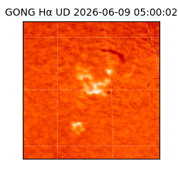 gong - 2026-06-09T05:00:02