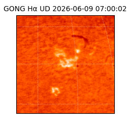 gong - 2026-06-09T07:00:02