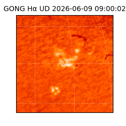 gong - 2026-06-09T09:00:02
