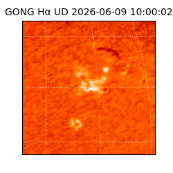 gong - 2026-06-09T10:00:02