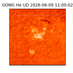 gong - 2026-06-09T11:00:02