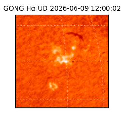 gong - 2026-06-09T12:00:02