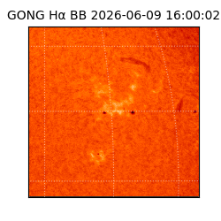 gong - 2026-06-09T16:00:02