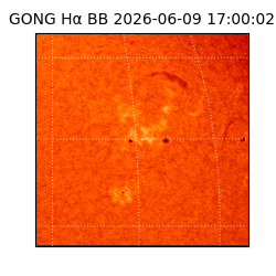 gong - 2026-06-09T17:00:02