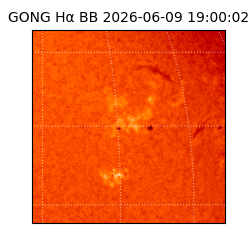 gong - 2026-06-09T19:00:02
