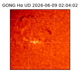 gong - 2026-06-09T02:04:02