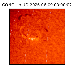 gong - 2026-06-09T03:00:02