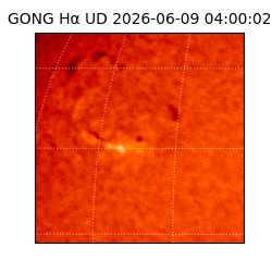 gong - 2026-06-09T04:00:02