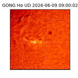 gong - 2026-06-09T09:00:02