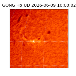 gong - 2026-06-09T10:00:02