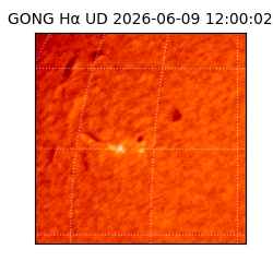 gong - 2026-06-09T12:00:02
