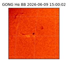 gong - 2026-06-09T15:00:02