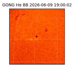 gong - 2026-06-09T19:00:02