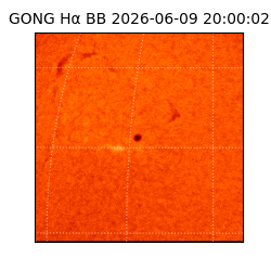 gong - 2026-06-09T20:00:02