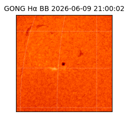 gong - 2026-06-09T21:00:02