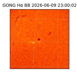 gong - 2026-06-09T23:00:02