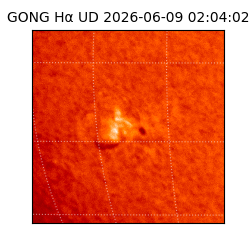 gong - 2026-06-09T02:04:02