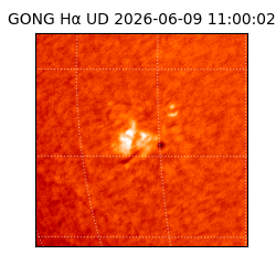 gong - 2026-06-09T11:00:02