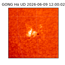 gong - 2026-06-09T12:00:02