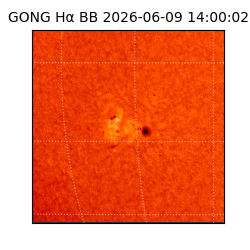 gong - 2026-06-09T14:00:02