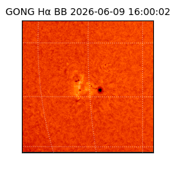 gong - 2026-06-09T16:00:02