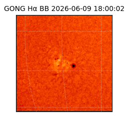 gong - 2026-06-09T18:00:02