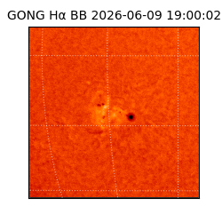 gong - 2026-06-09T19:00:02