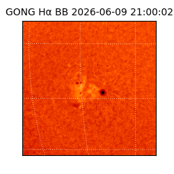 gong - 2026-06-09T21:00:02