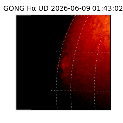 gong - 2026-06-09T01:43:02
