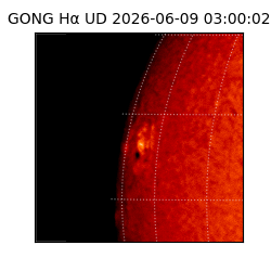 gong - 2026-06-09T03:00:02
