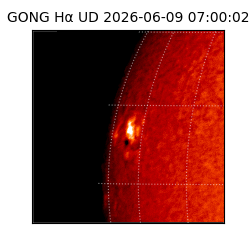 gong - 2026-06-09T07:00:02