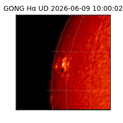 gong - 2026-06-09T10:00:02