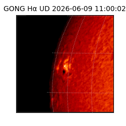 gong - 2026-06-09T11:00:02
