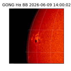 gong - 2026-06-09T14:00:02