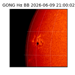 gong - 2026-06-09T21:00:02