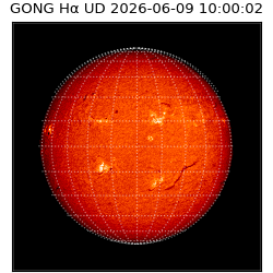 gong - 2026-06-09T10:00:02