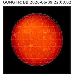 gong - 2026-06-09T22:00:02