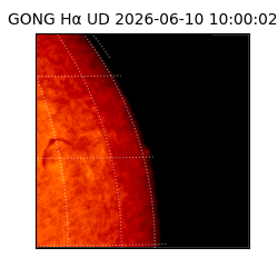 gong - 2026-06-10T10:00:02