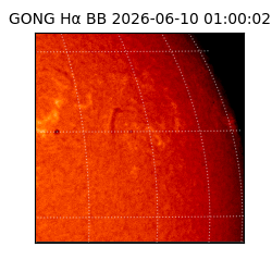 gong - 2026-06-10T01:00:02