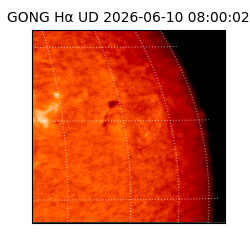 gong - 2026-06-10T08:00:02