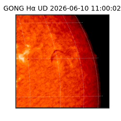 gong - 2026-06-10T11:00:02