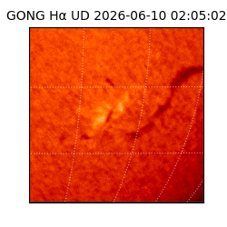 gong - 2026-06-10T02:05:02
