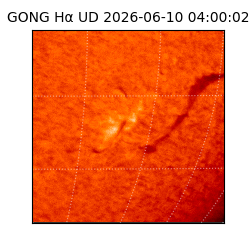 gong - 2026-06-10T04:00:02