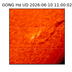 gong - 2026-06-10T11:00:02