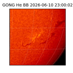 gong - 2026-06-10T23:00:02