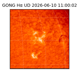 gong - 2026-06-10T11:00:02