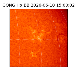 gong - 2026-06-10T15:00:02