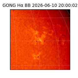 gong - 2026-06-10T20:00:02