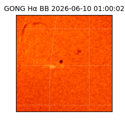 gong - 2026-06-10T01:00:02