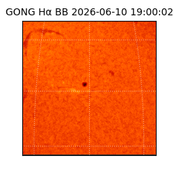 gong - 2026-06-10T19:00:02
